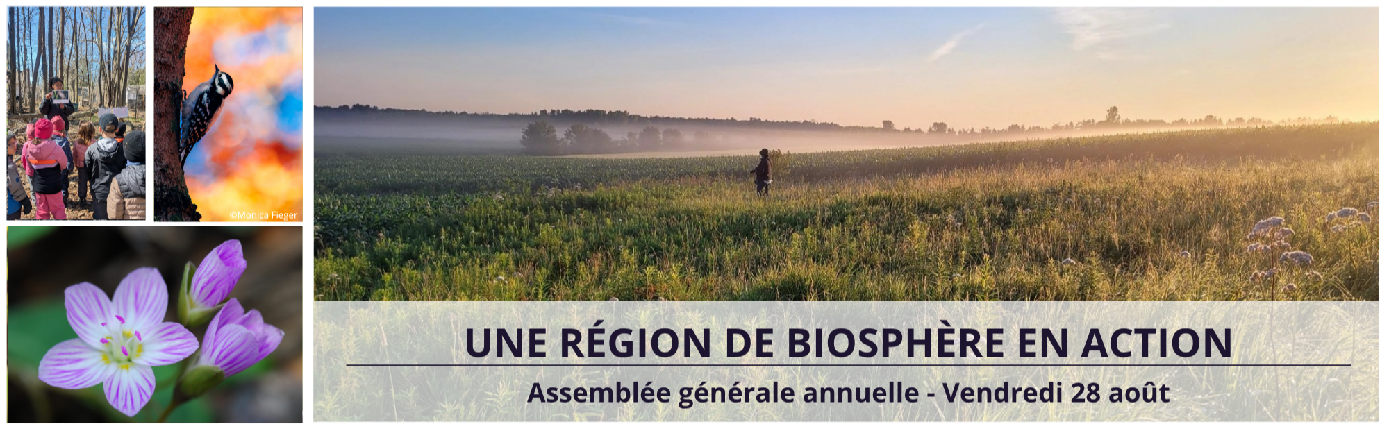 Assemblée générale annuelle 2026