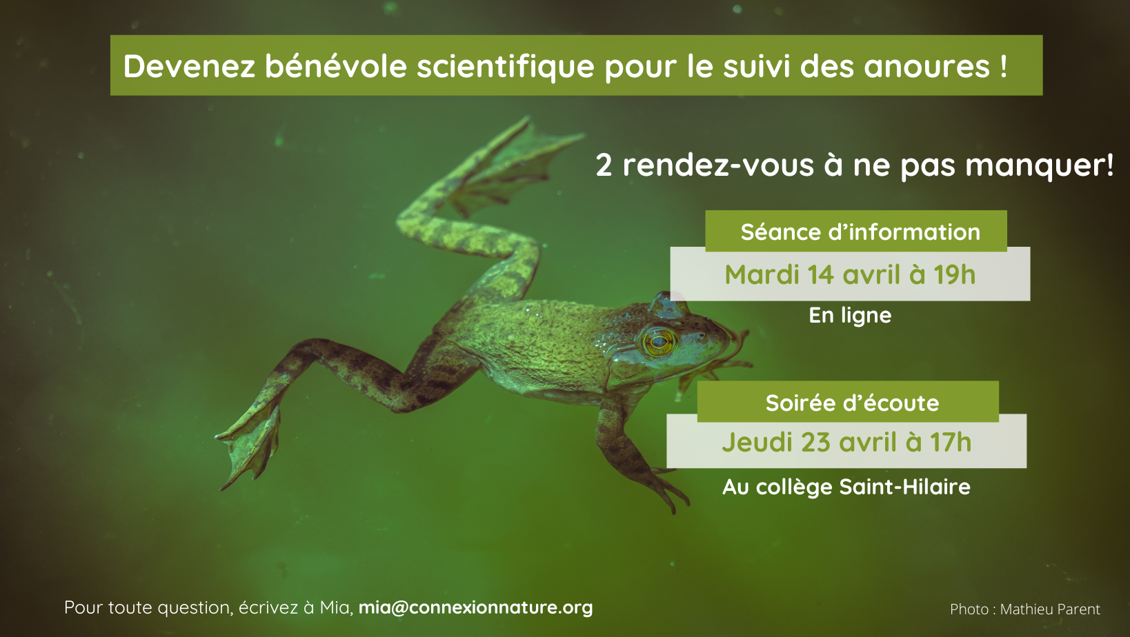 Formation pour le suivi scientifique bénévole des grenouilles 14 avril 2026 - EN LIGNE - GRATUIT