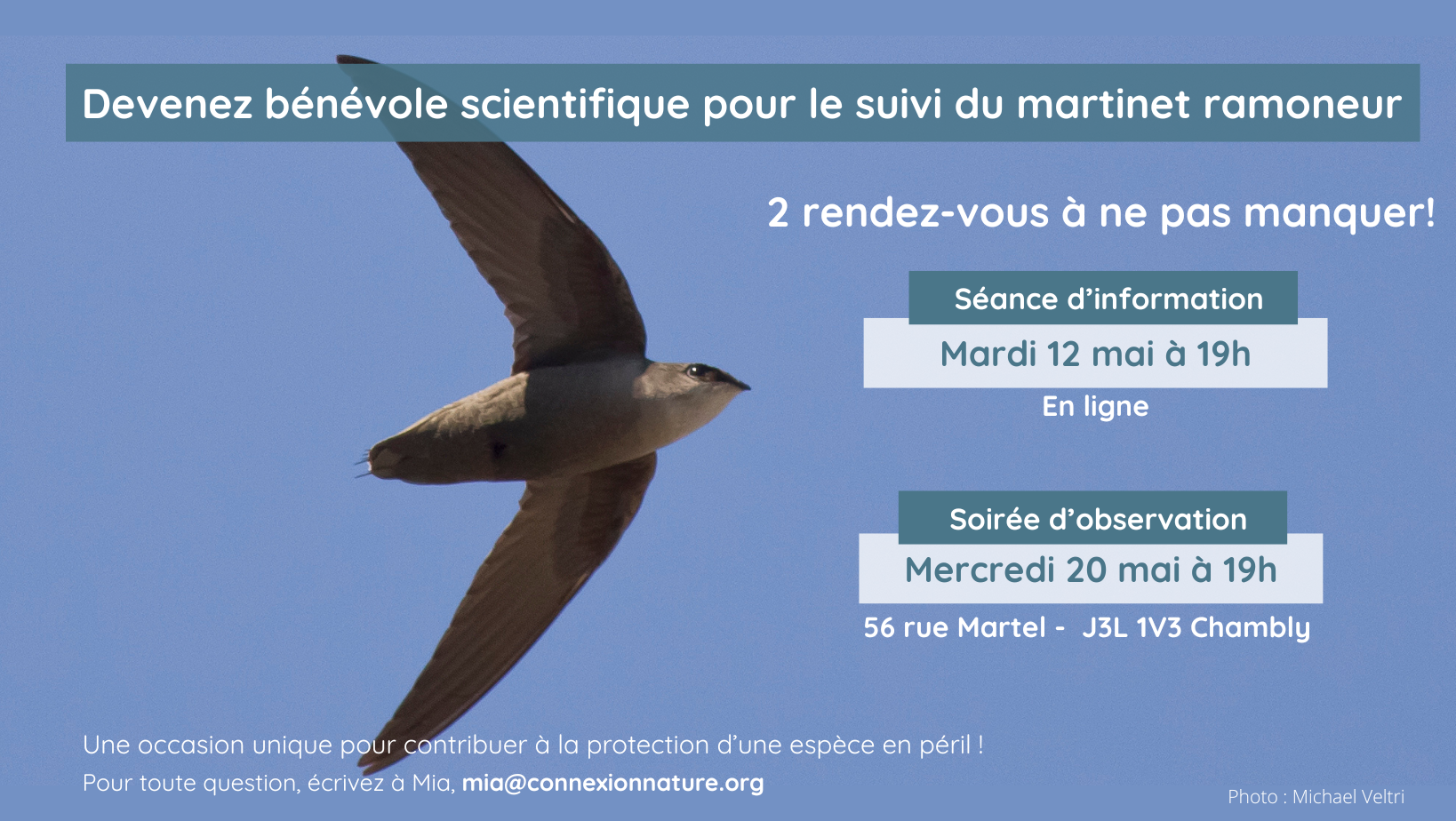 Formation pour le suivi scientifique bénévole du martinet ramoneur MARDI 12 mai 2026 - EN LIGNE - GRATUIT