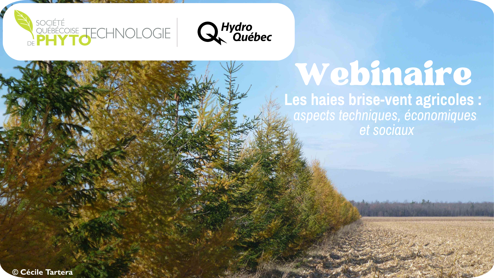 Webinaire - Les haies brise-vent agricoles : aspects techniques, économiques et sociaux