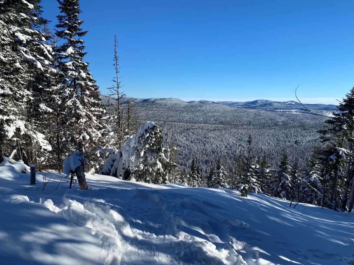 CAMP MERCIER raquette et ski de fond