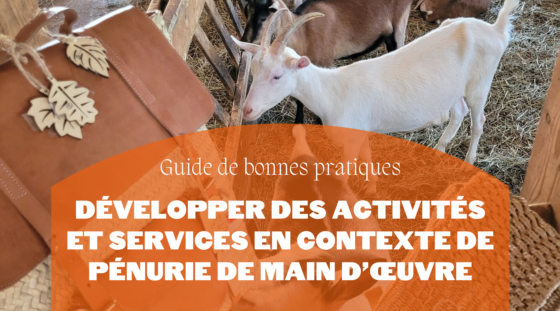 Guide de bonnes pratiques | Développer des activités et services en contexte de pénurie de main d'œuvre