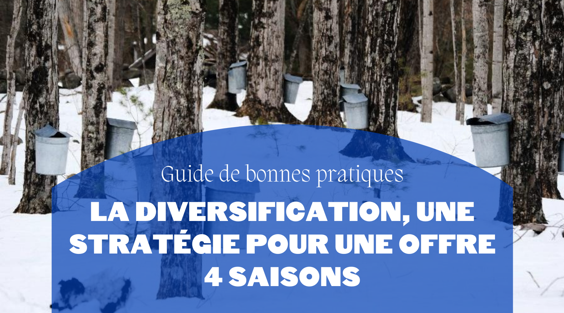 Guide de bonnes pratiques | La diversification, une stratégie pour une offre 4 saisons