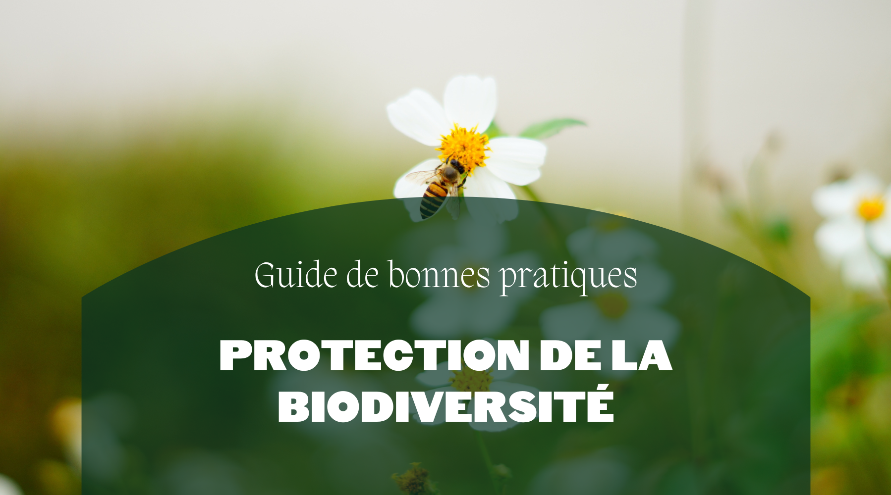 Guide de bonnes pratiques | Protection de la biodiversité