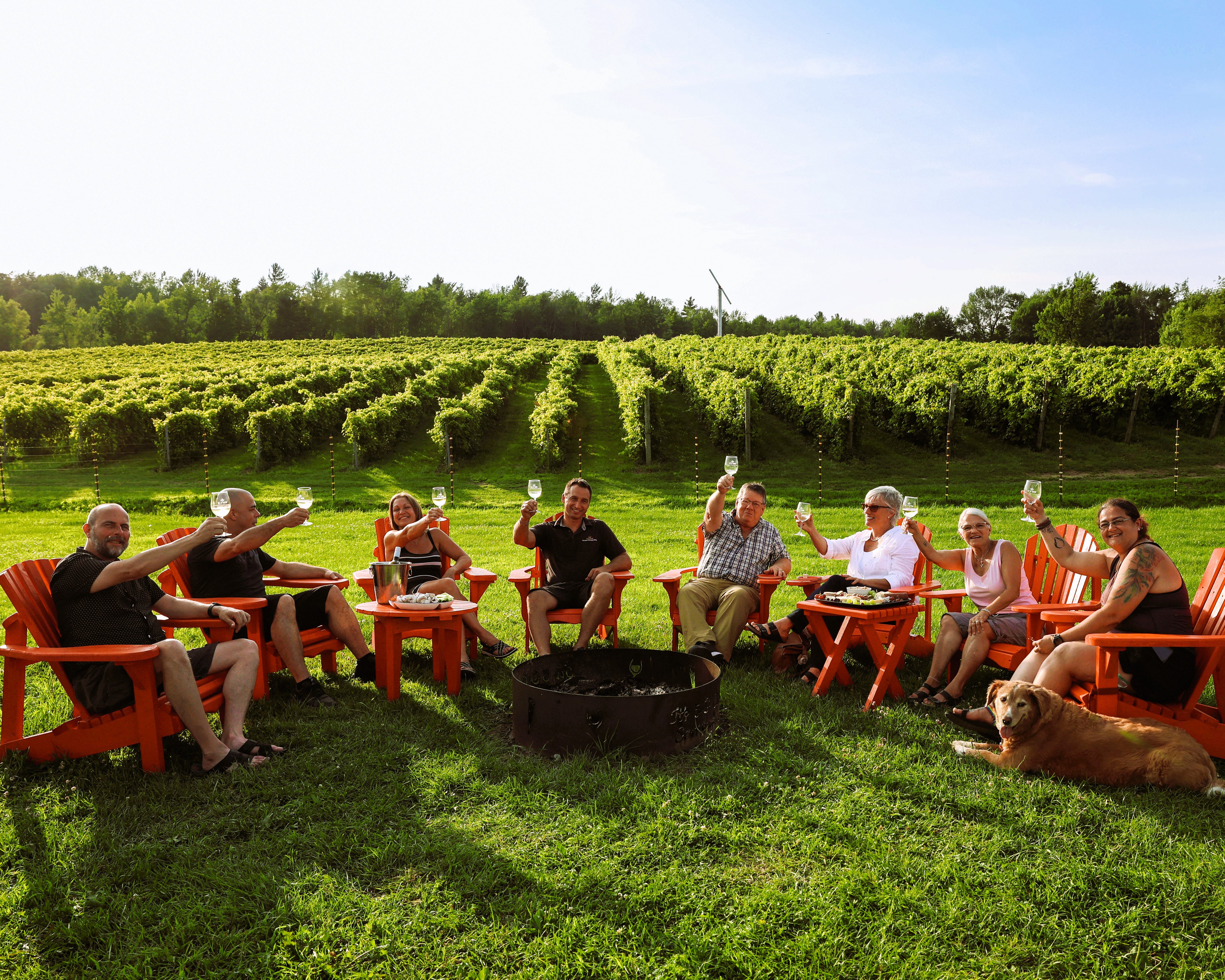 Vignoble Domaine Bresee