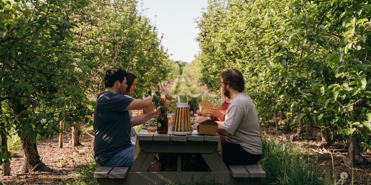 Cidrerie Milton (Les Vergers de la Colline)