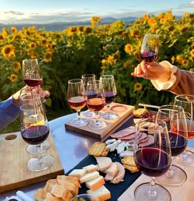 Vignoble Isle de Bacchus