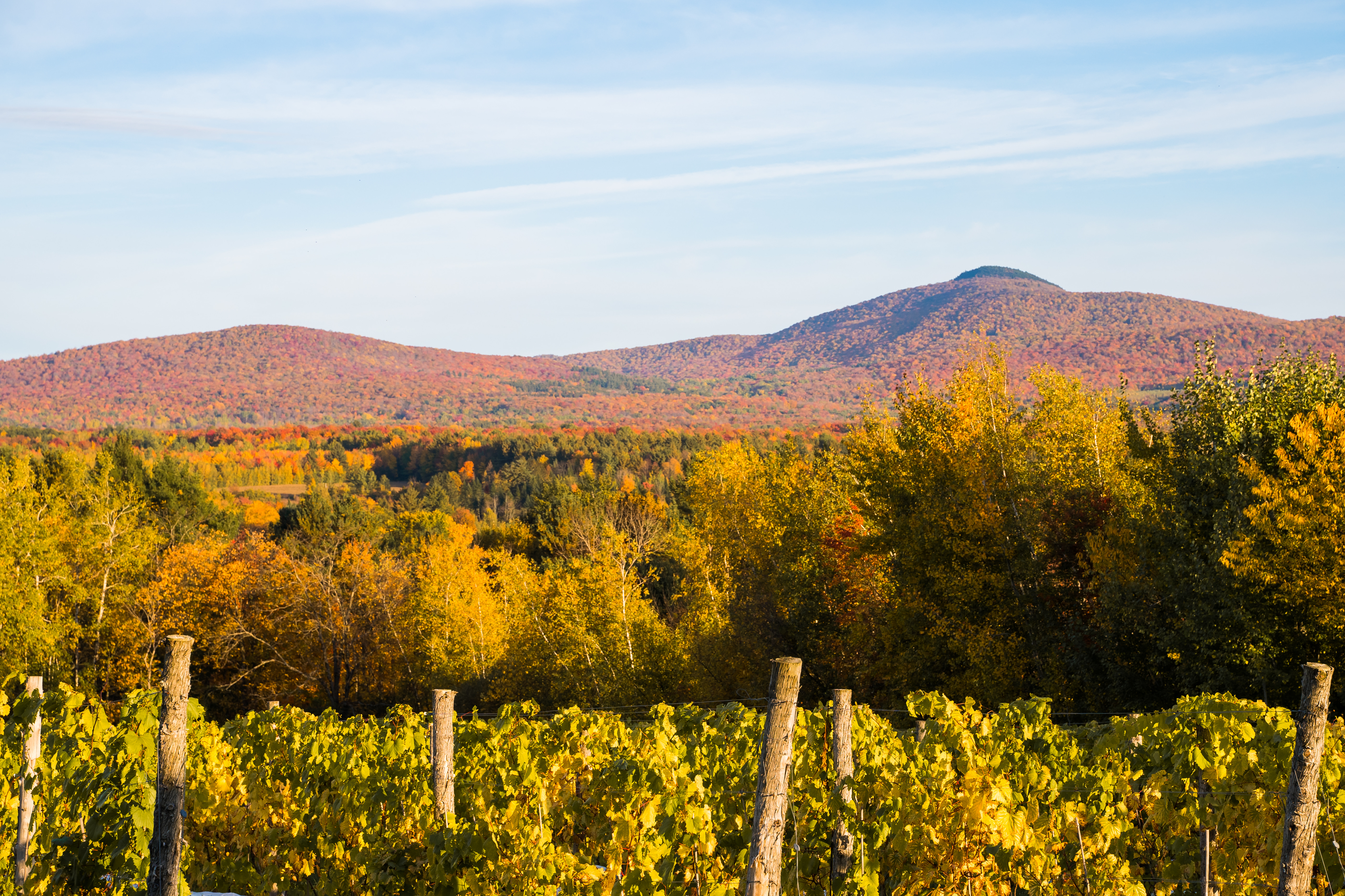 Val Caudalies Vignoble et Cidrerie