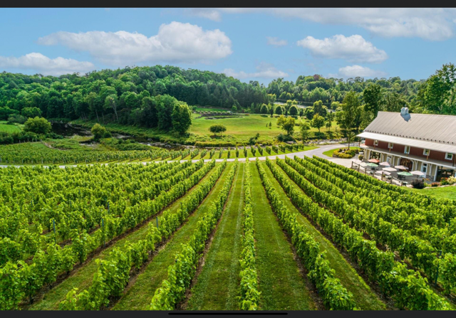 Vignoble Coteau des Artisans