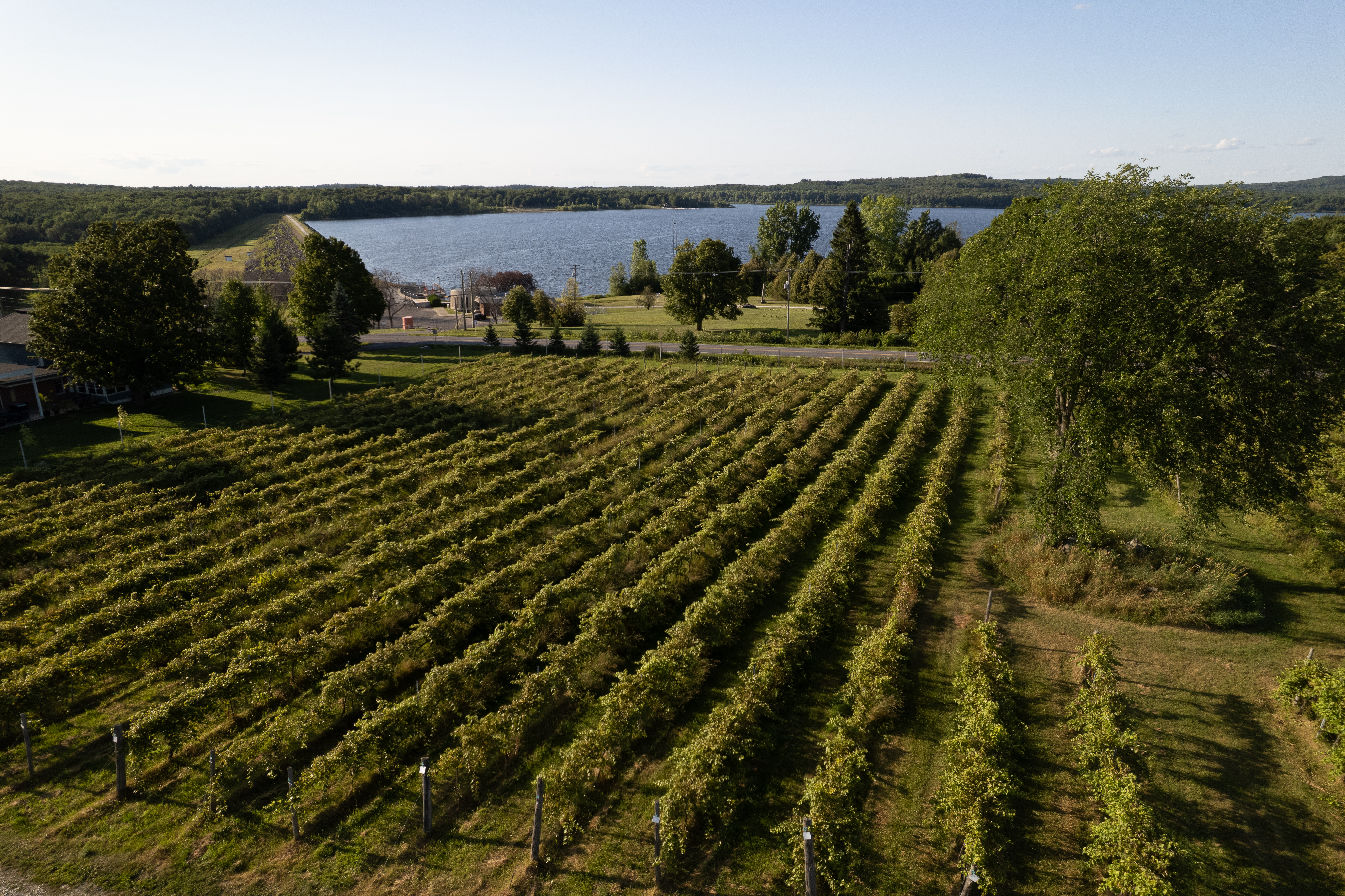 Vignoble Côte des Limousins