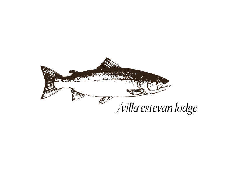 https://cdn.ca.yapla.com/company/CPYlFBKFKU4nbGwsYs52KvXR/member/organization/images/photo-profil-facebook-villa-1736441314.jpg
