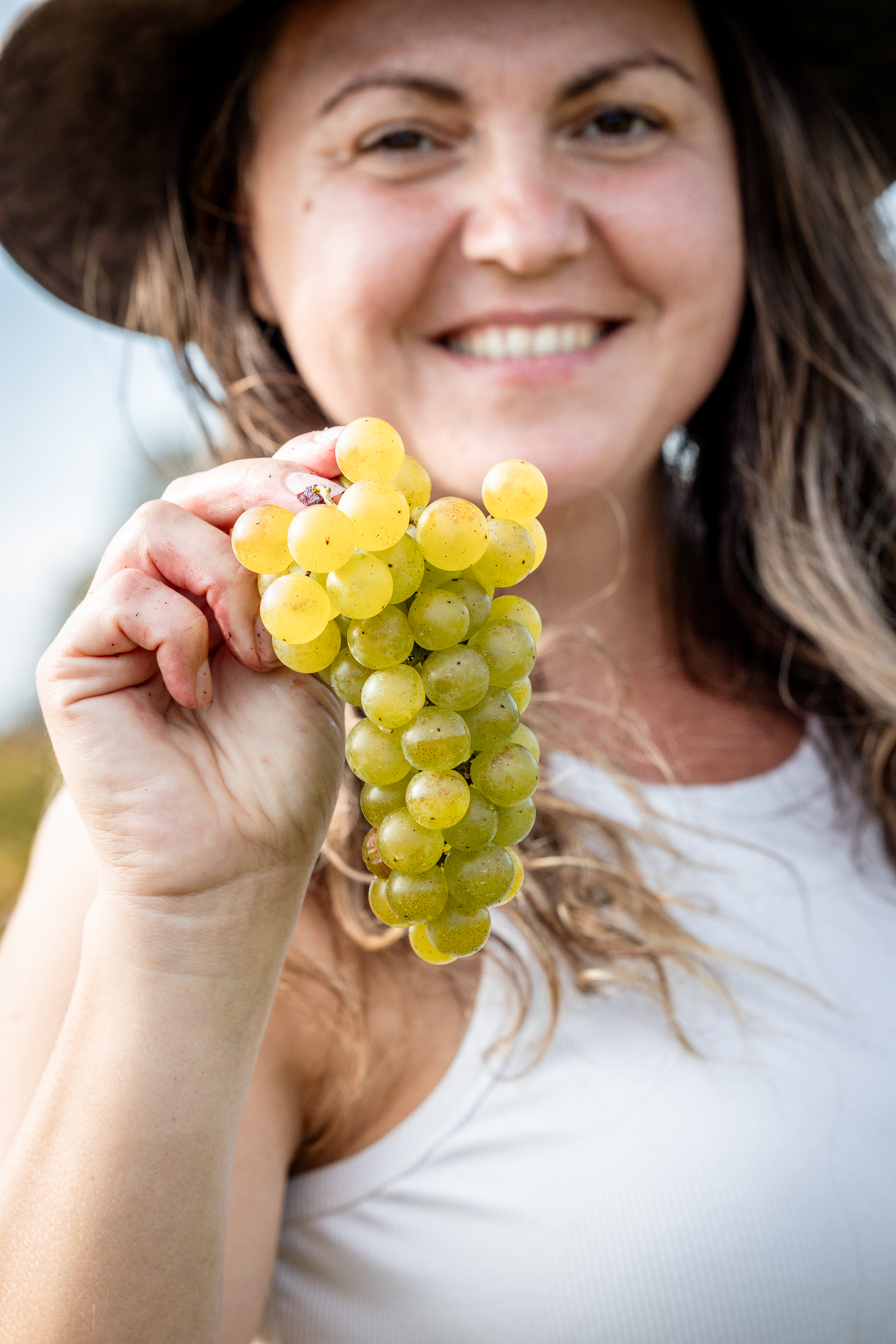 Vignoble et Domaine Beauchemin