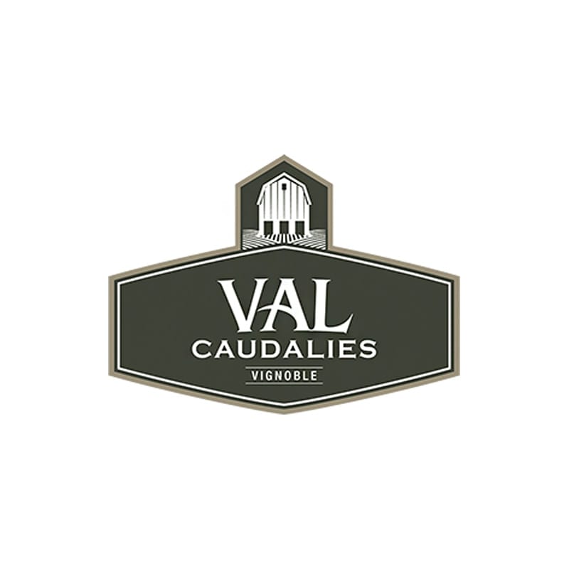 https://cdn.ca.yapla.com/company/CPYlFBKFKU4nbGwsYs52KvXR/member/organization/images/valcaudalies-logo-min-1728484300.jpg