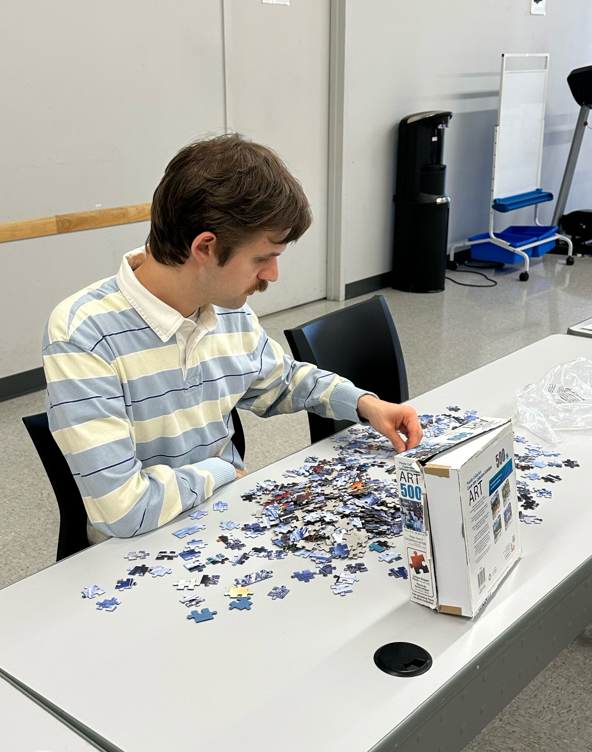 Activité TSASDI - 17 janvier 2026