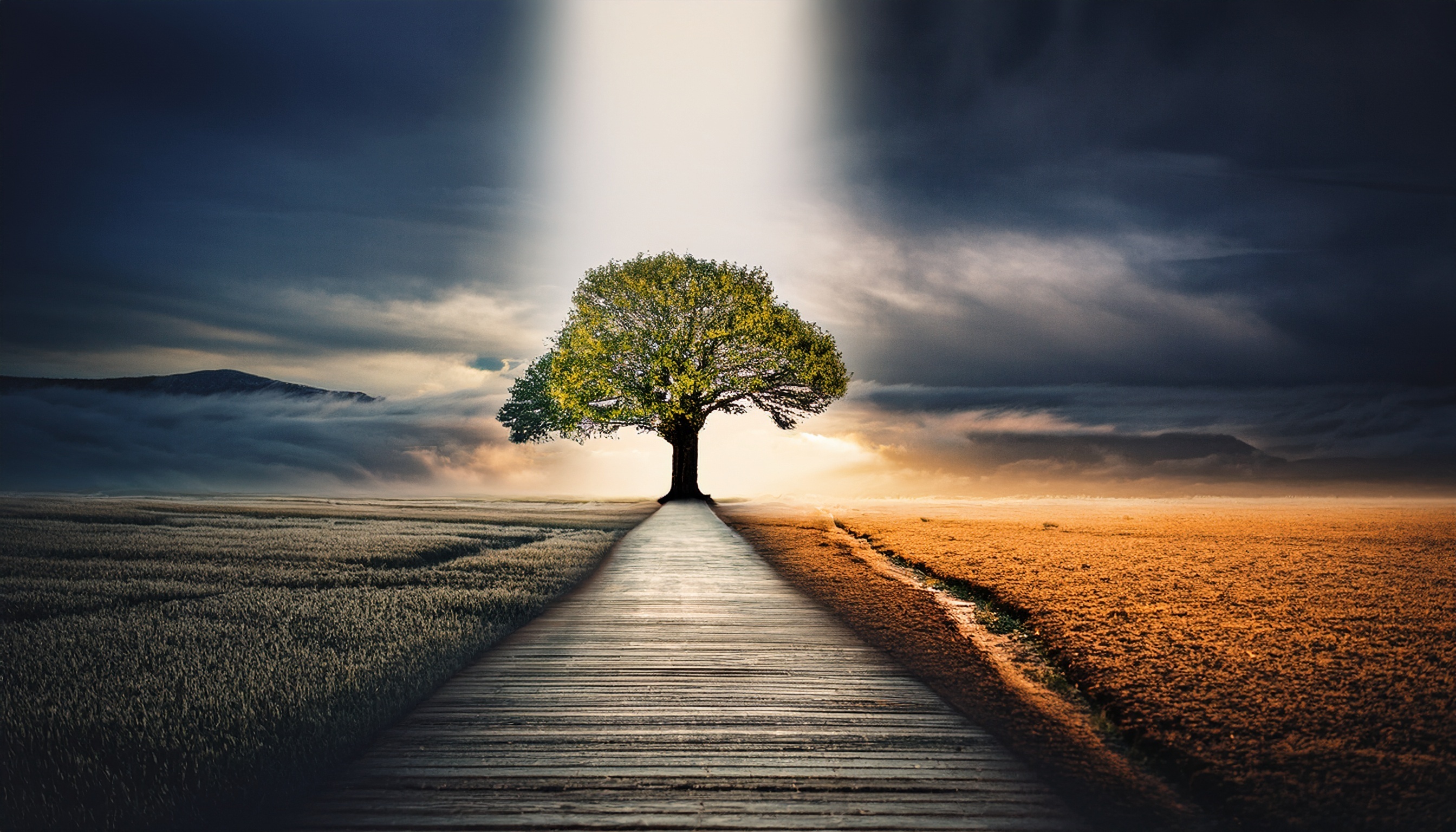 Dépression saisonnière : prendre soin de soi et de nos proches TSA