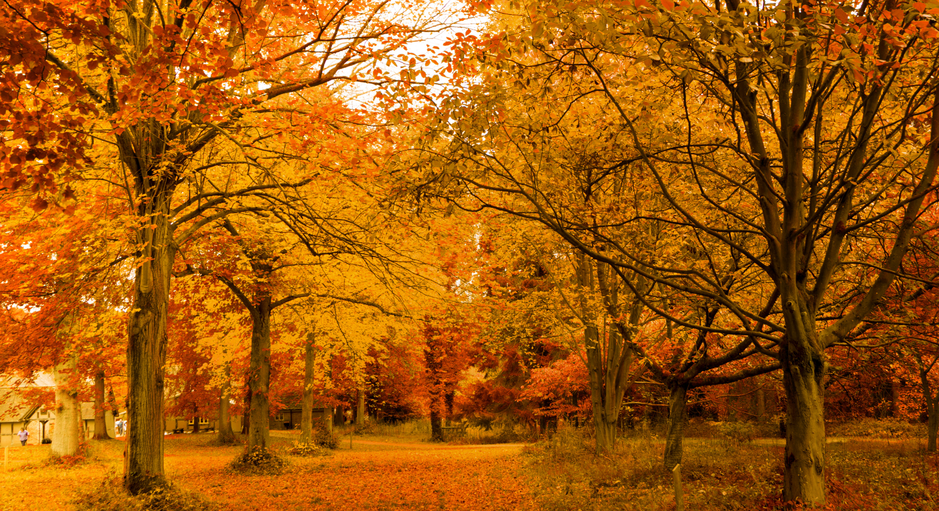 Les inscriptions pour la programmation d'automne sont maintenant ouvertes!
