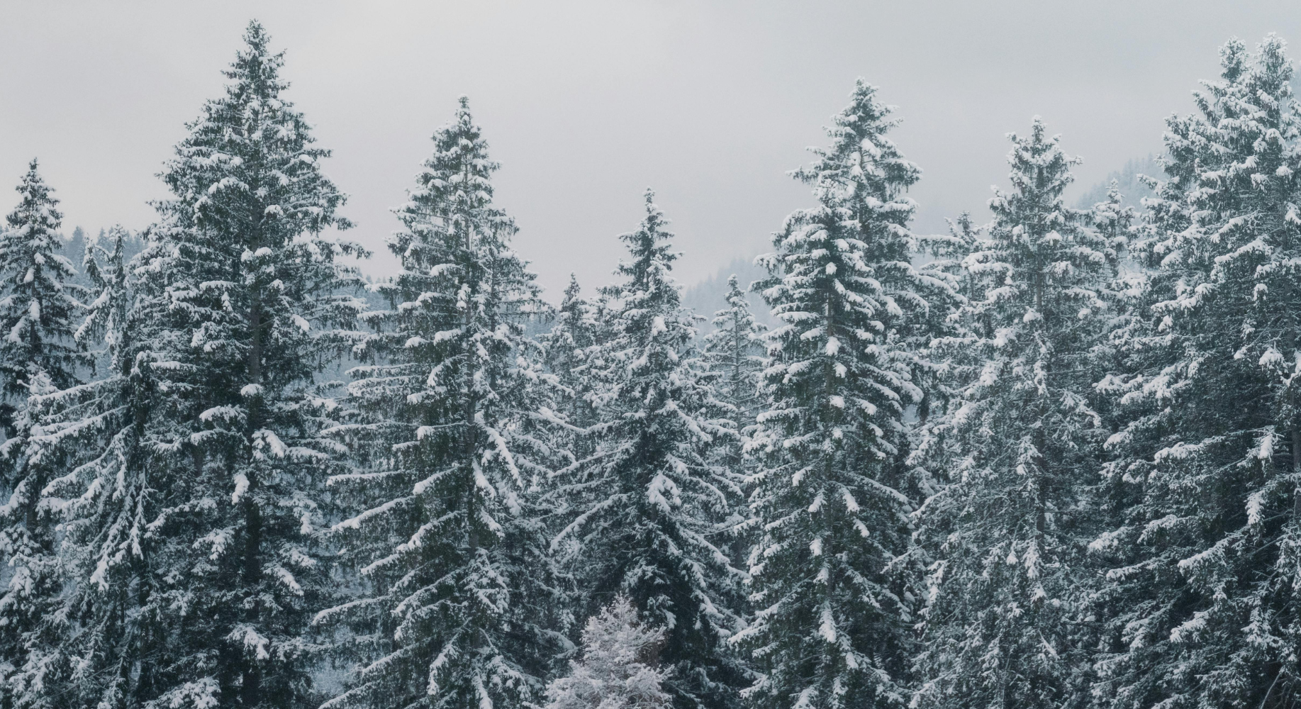Les répits d’hiver sont de retour : une saison remplie d’activités et de beaux moments!