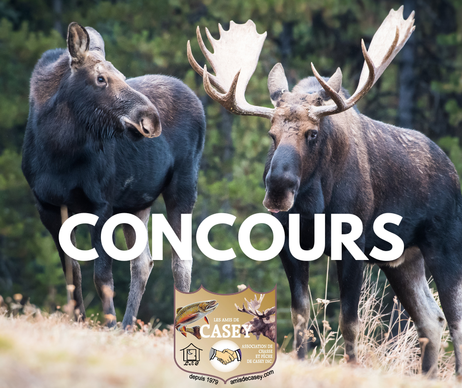 Concours du plus Gros Panache et Participation Chasse