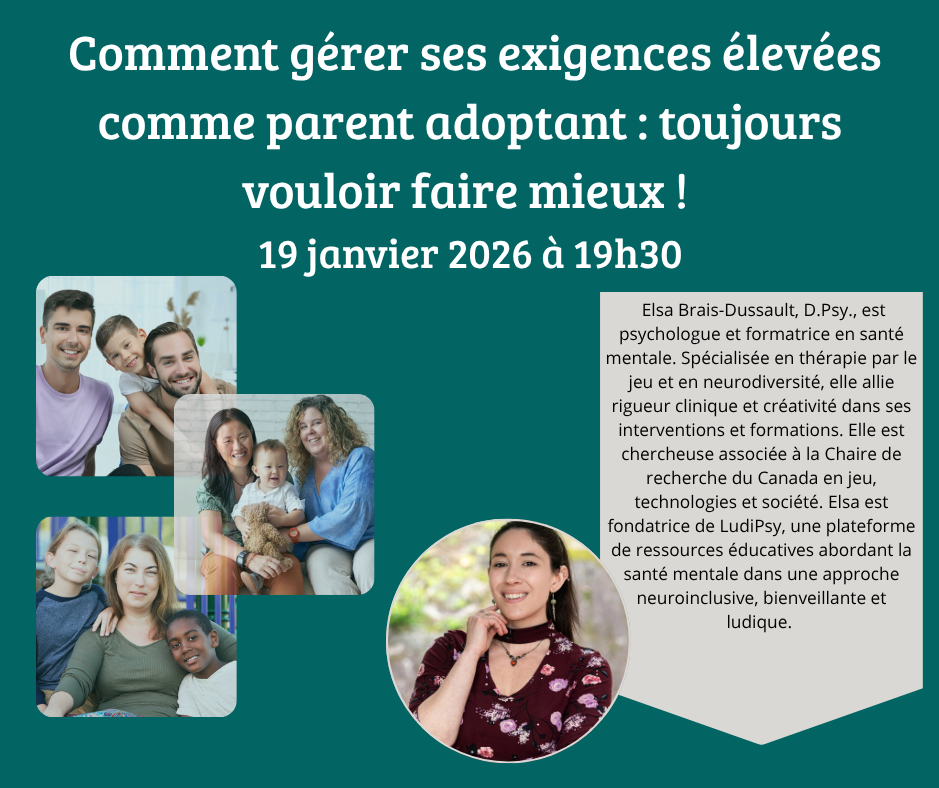 « Comment gérer ses exigences élevées comme parent adoptant : toujours vouloir faire mieux ! »
