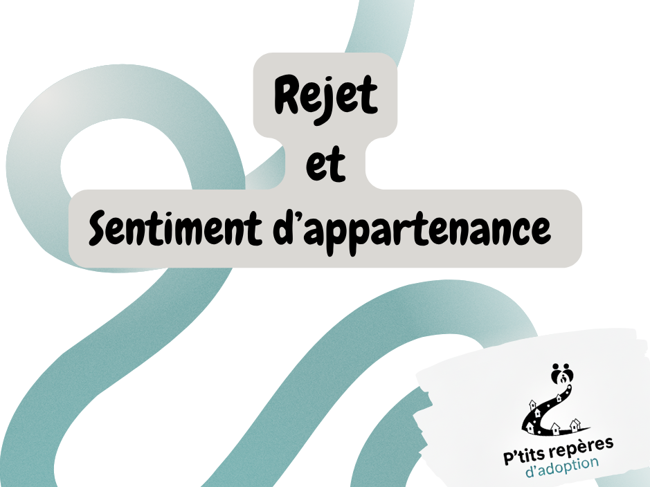 Articles - Vignette