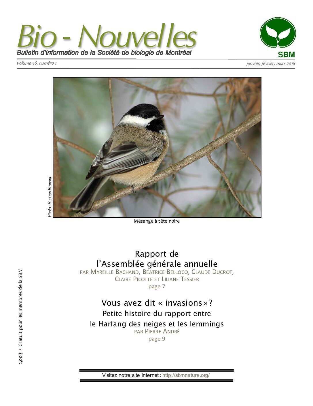 Articles - Vignette