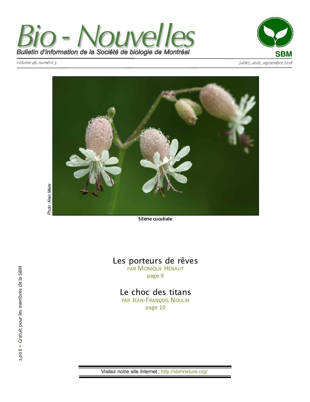 Articles - Vignette