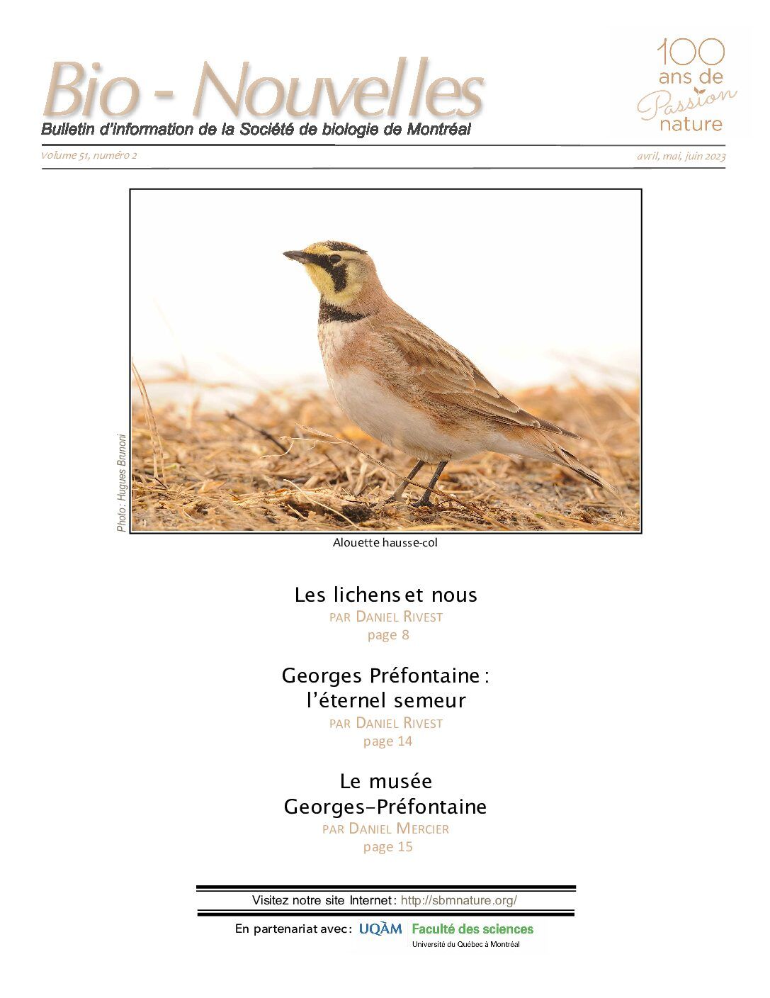 Articles - Vignette