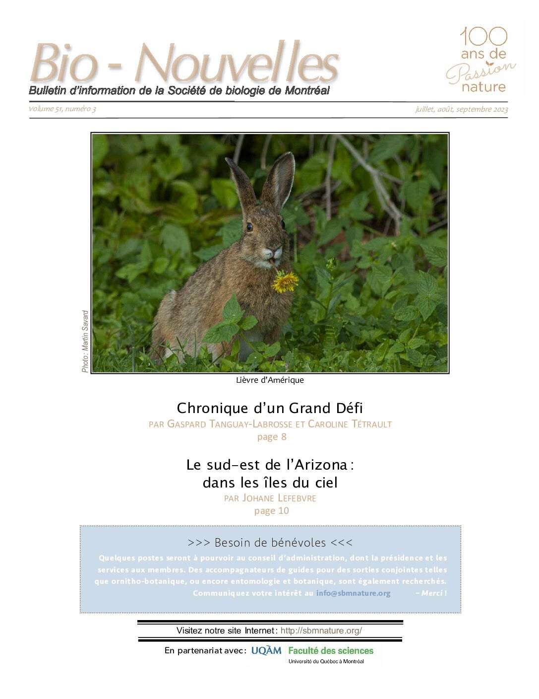 Articles - Vignette
