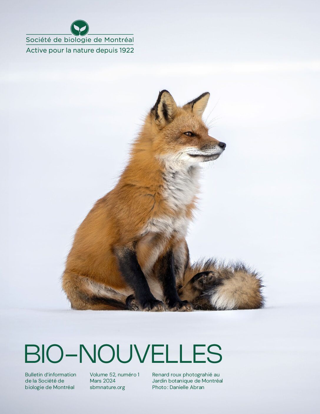 Articles - Vignette
