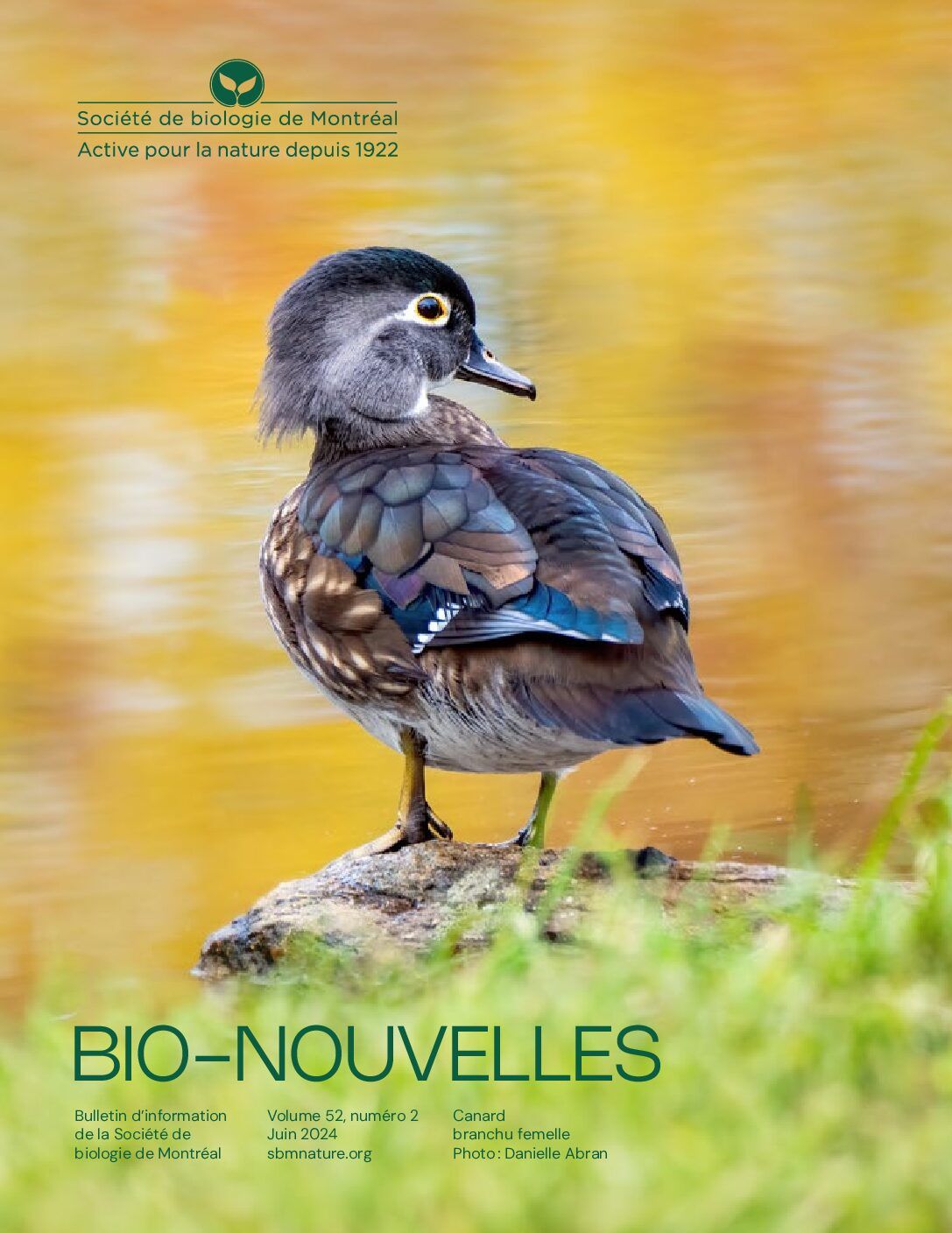 Articles - Vignette