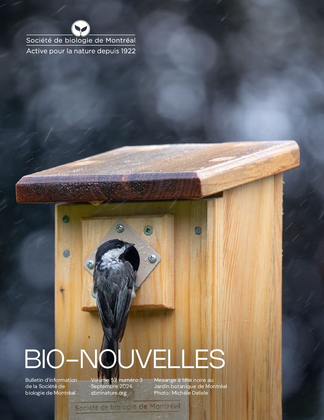 Articles - Vignette
