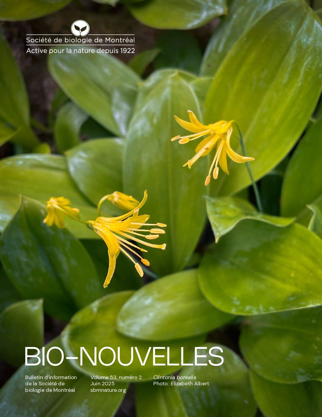 Articles - Vignette