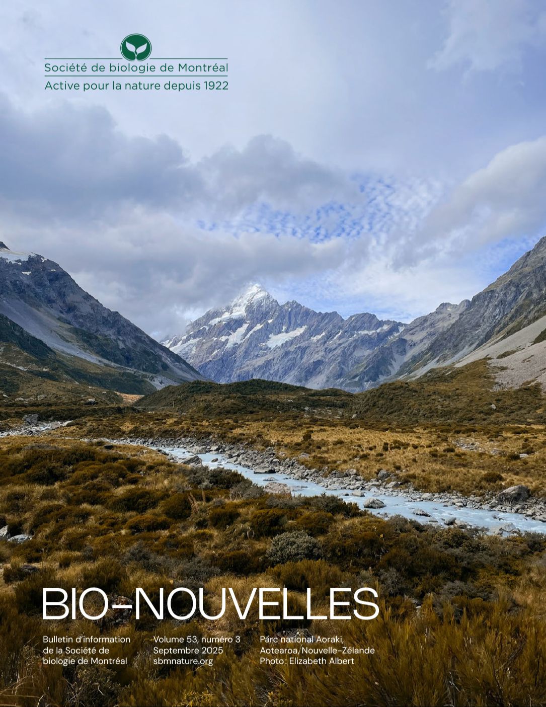 Articles - Vignette
