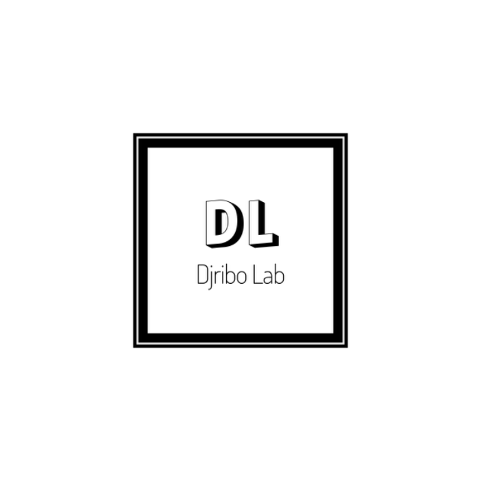 Logo Djribo Lab