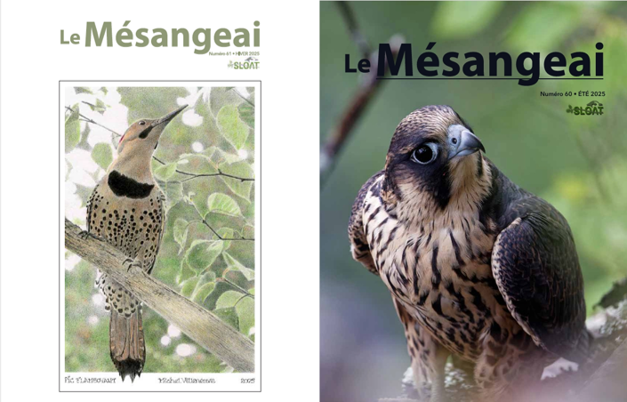 Obtenir la revue Le Mésangeai en format papier