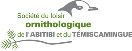 Logo Société du loisir ornithologique de l'Abitibi et du Témiscamingue