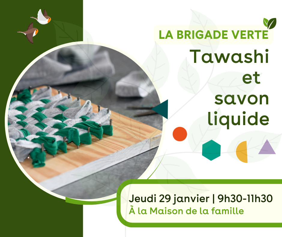 Brigade verte - Tawashi et savon liquide