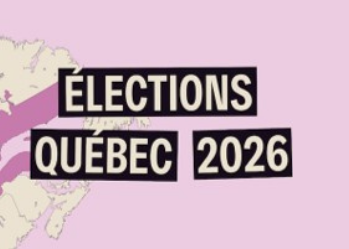 Élections 2026 : où sont les engagements des partis en matière de droits des femmes?