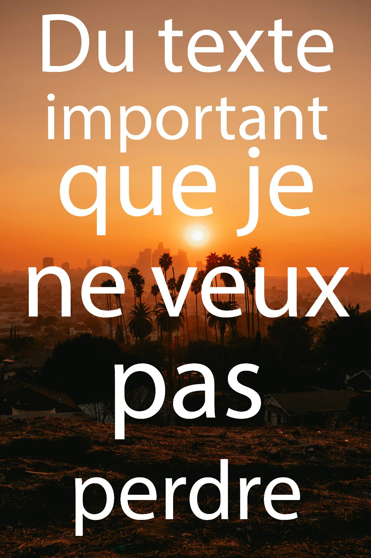Porttitor fermentum velit semper