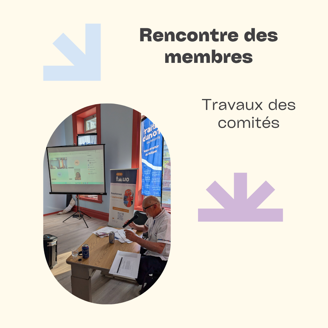 Members meeting – work of the comitees