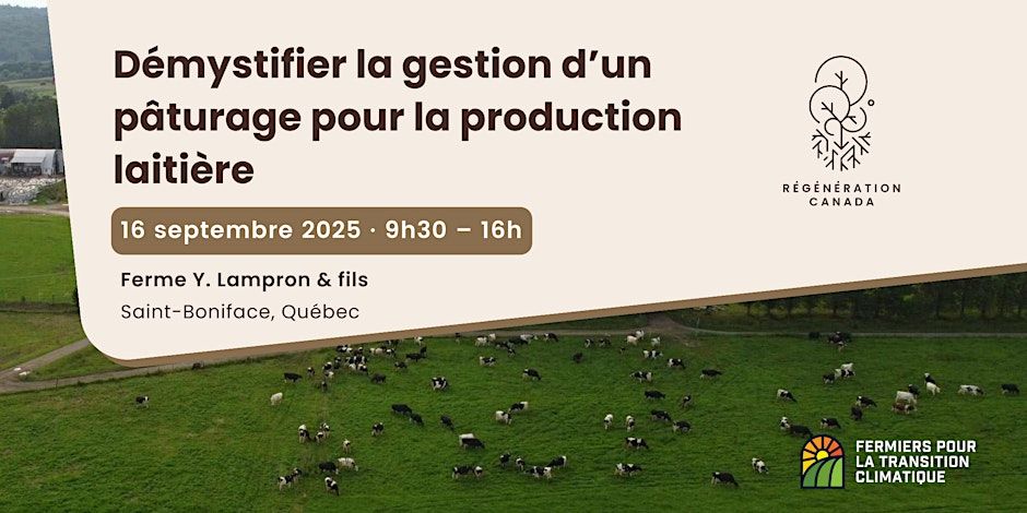 Démystifier la gestion d’un pâturage en production laitière