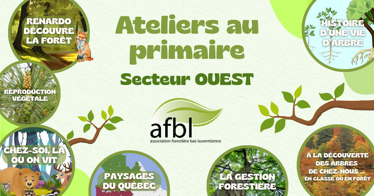 Ateliers au primaire 2026-2027 (OUEST)