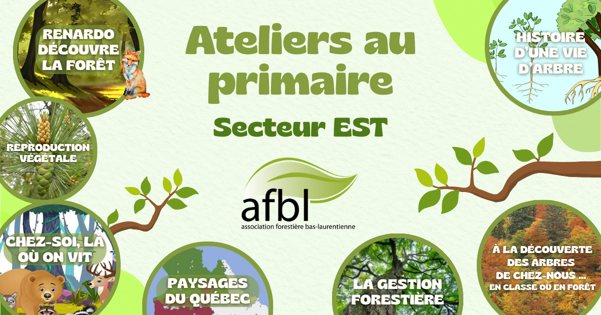 Ateliers au primaire 2026-2027 (EST)