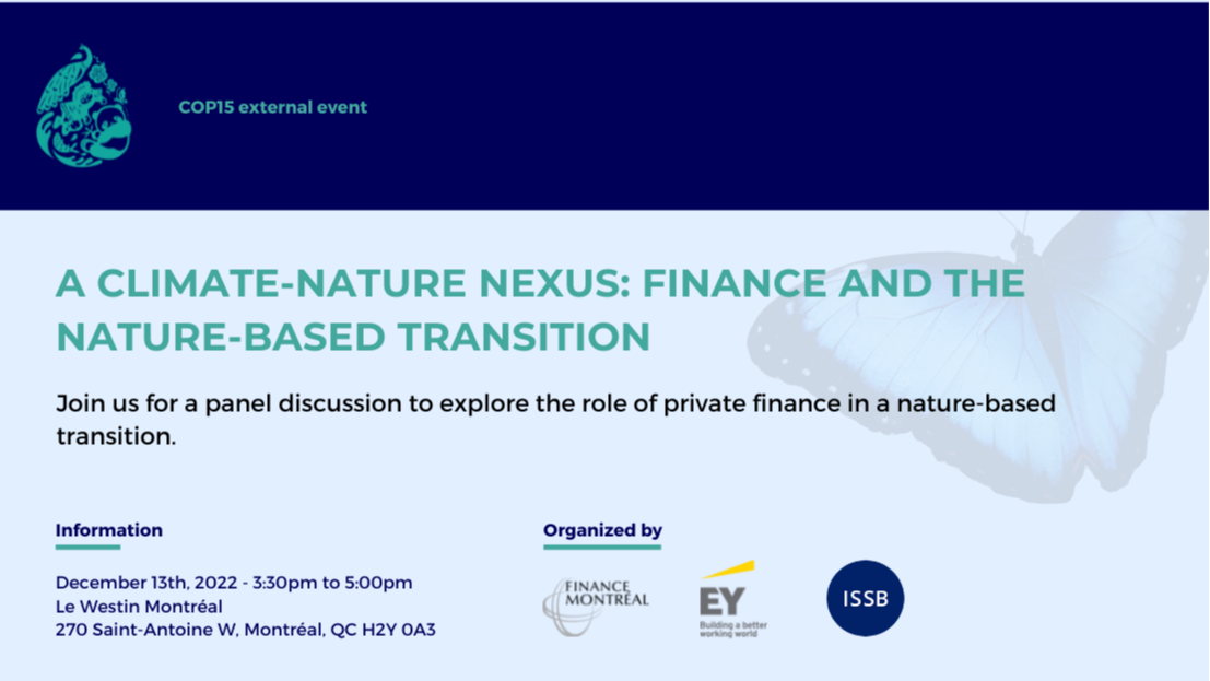 A climate-nature nexus: finance and the nature-based transition