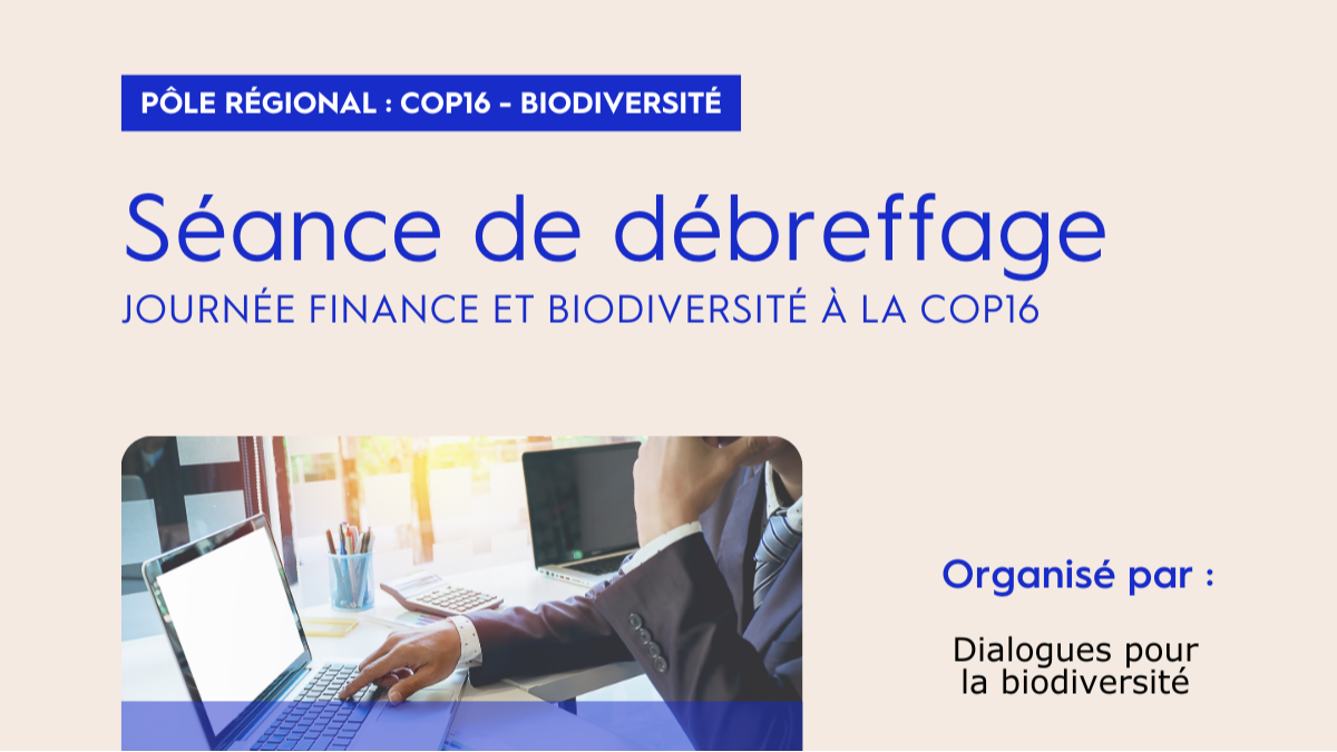 Séance de débreffage : Journée Finance et Biodiversité à la COP16