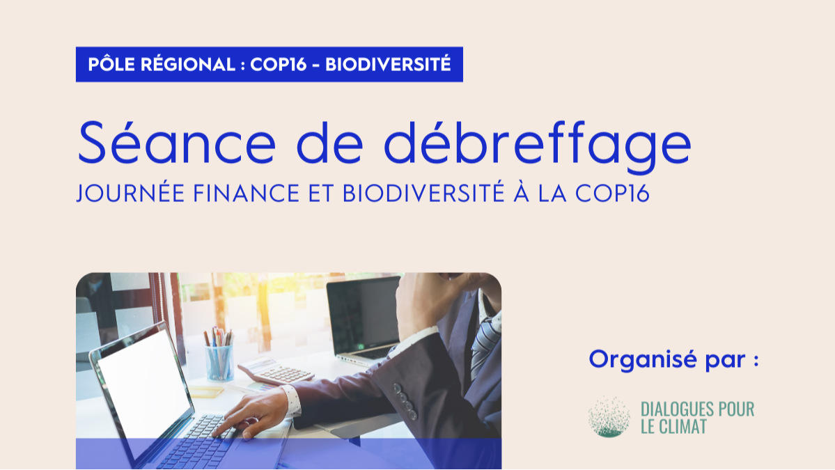 Séance de breffage : Journée Finance et Biodiversité à la COP16 (French Only)