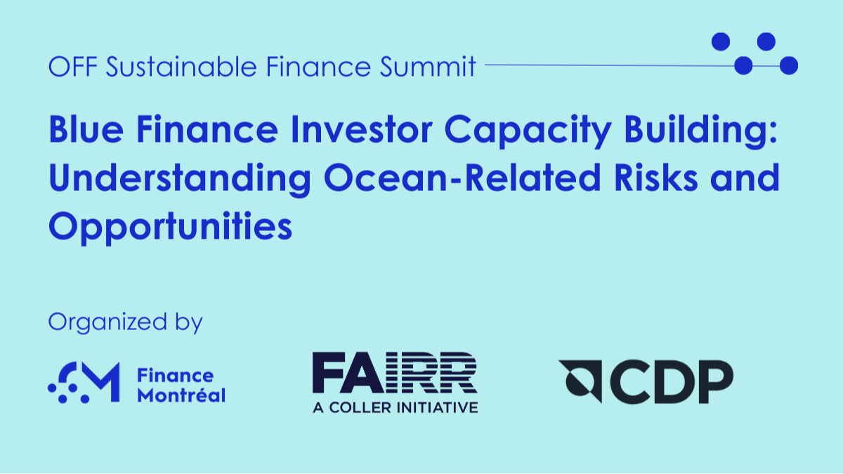 Blue Finance investor Capacity Building: Understanding Ocean-Related Risks and Opportunities