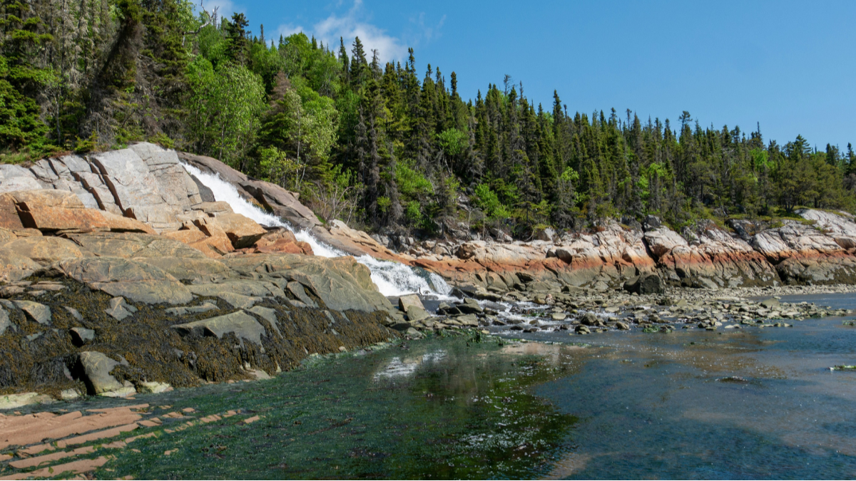 Rapport final sur l'intégration de la biodiversité dans les pratiques financières et d'affaires au Québec