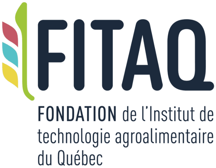 Logo Fondation de l'ITAQ