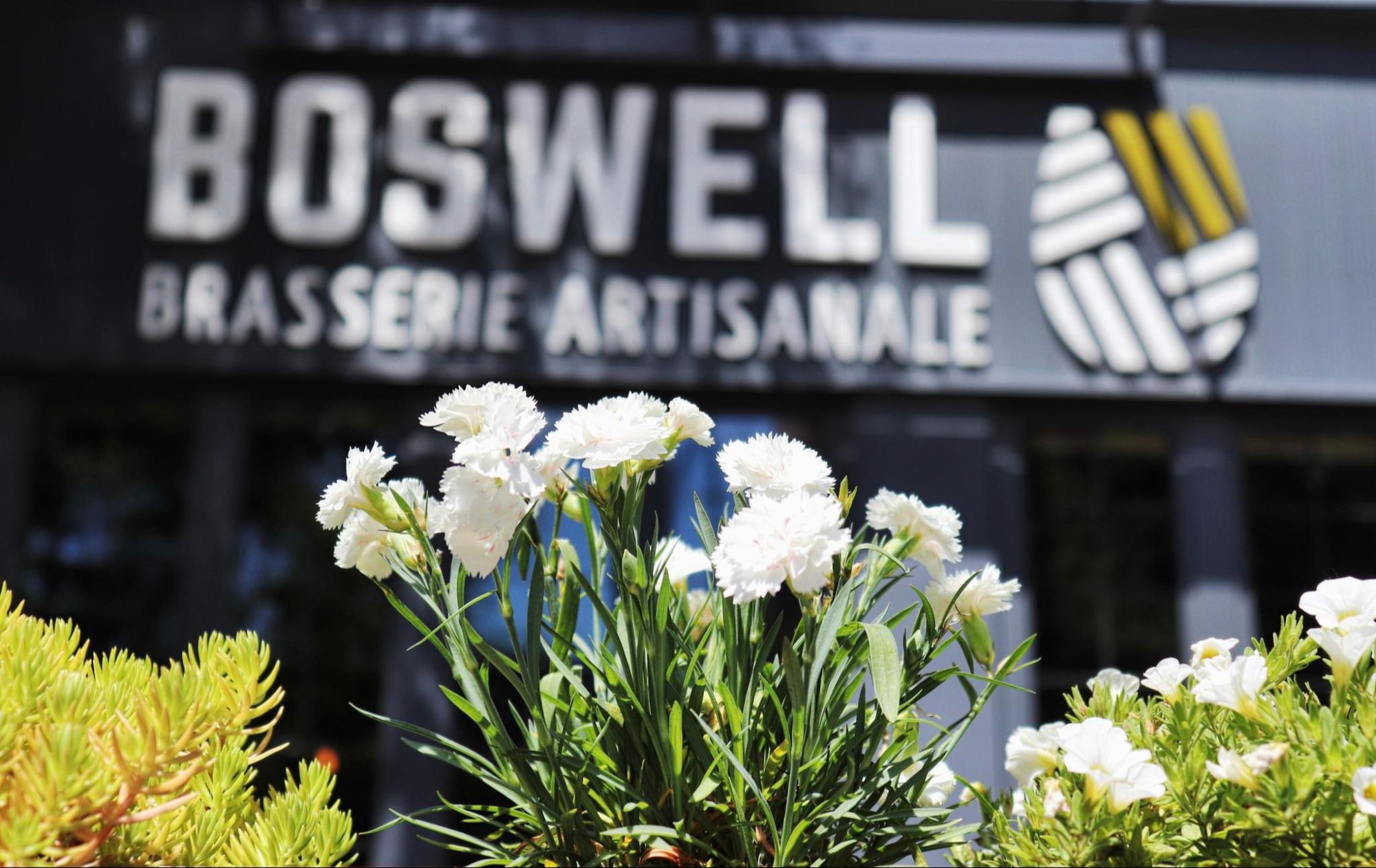 Brasserie artisanale Boswell